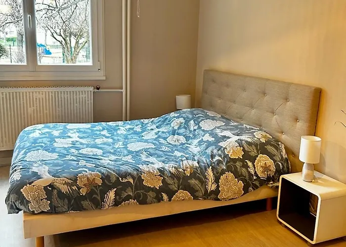 Proche Centre Ville-parking Prive * Clermont-Ferrand